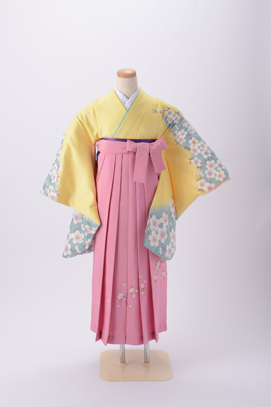黄色（水色桜）×ピンク桜袴　KH15‐1